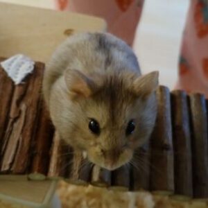 Profilbild von Malin