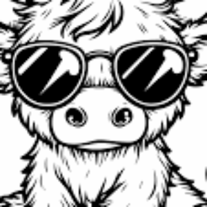 Profilbild von David