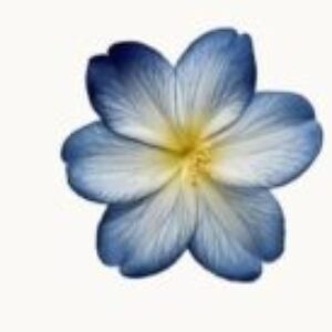 Profilbild von Maria