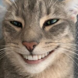 Profilbild von Henry