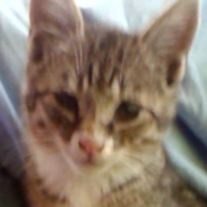 Profilbild von Sophie
