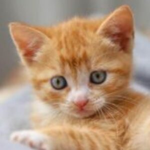 Profilbild von Melina