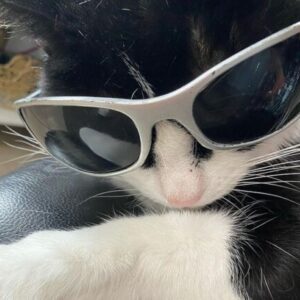 Profilbild von Duygu