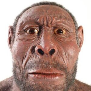 Profilbild von Livio Hemmi