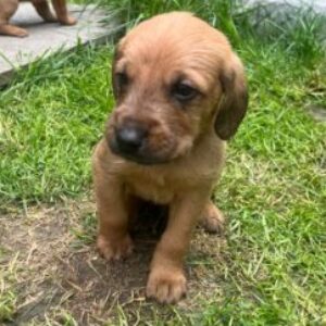 Profilbild von Hanna Mock