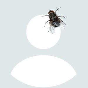 Profilbild von Mauro Kluser