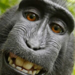 Profilbild von Marco