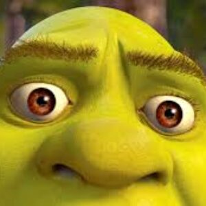 Profilbild von Martin