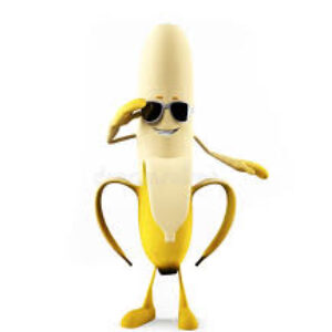 Profilbild von Ceyda