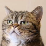 Profilbild von Hernan