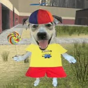 Profilbild von Henok Seile