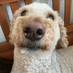 Profilbild von Elena