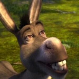 Profilbild von Sara