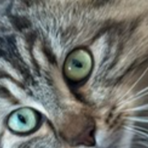 Profilbild von Nina Lia Maissen