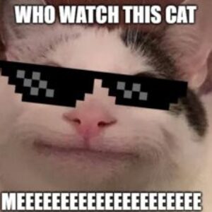 Profilbild von Lazar