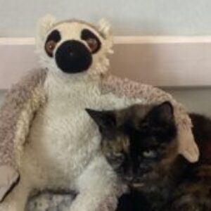Profilbild von Annika