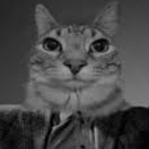 Profilbild von Samuel