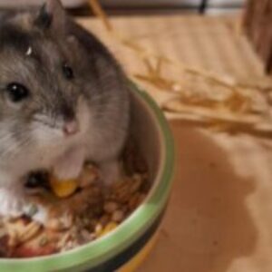 Profilbild von Leonie