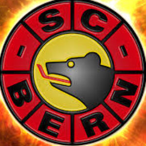 Profilbild von Yanis Scheurer