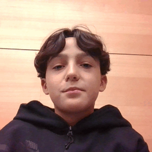 Profilbild von Anes